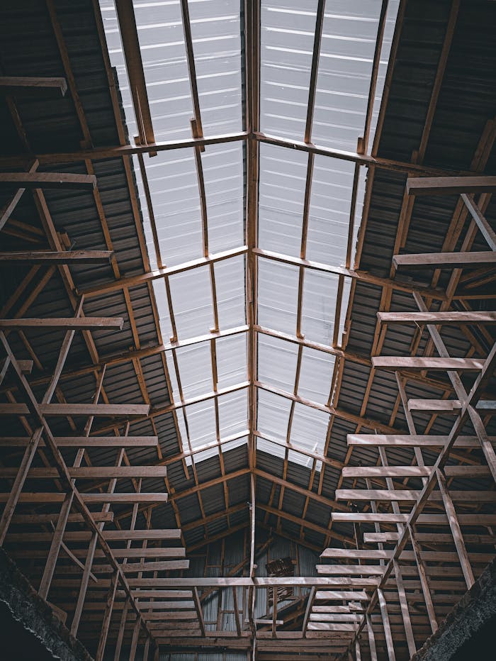 services-08 Viewing the intricate wooden framework supporting a warehouse ceiling.